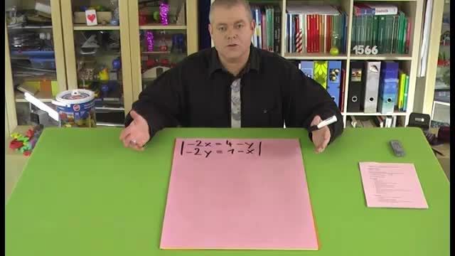 video image