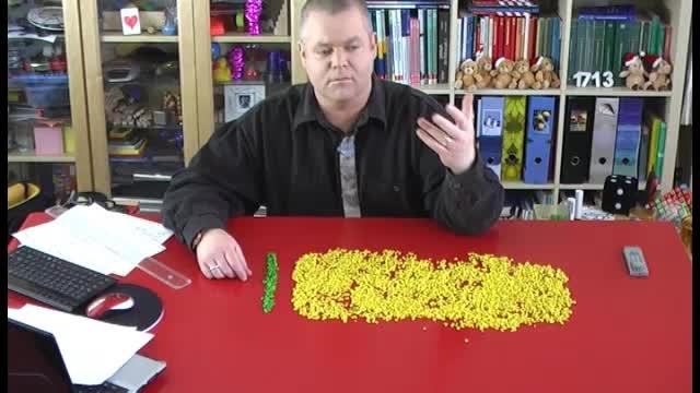 video image
