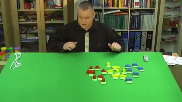 video image