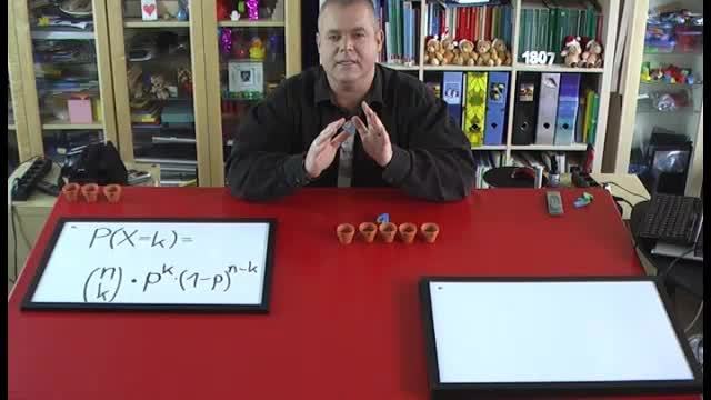 video image