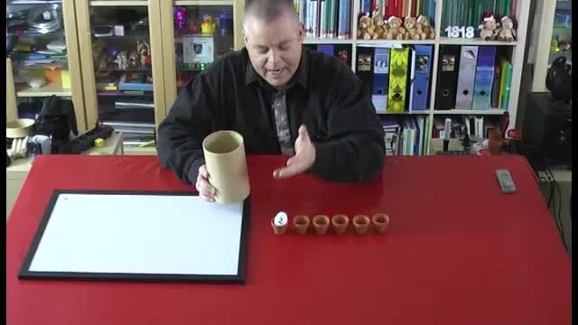 video image