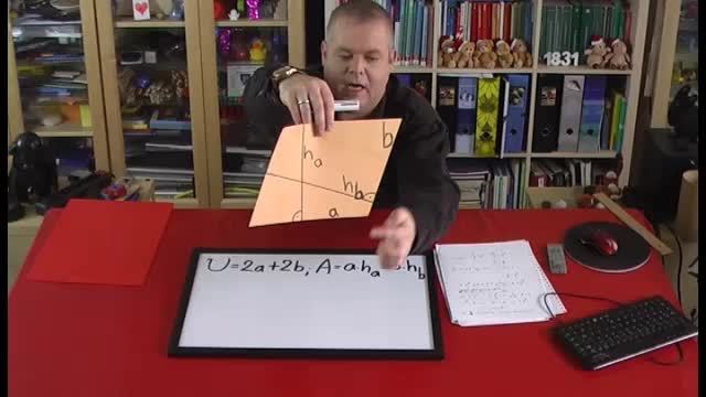 video image