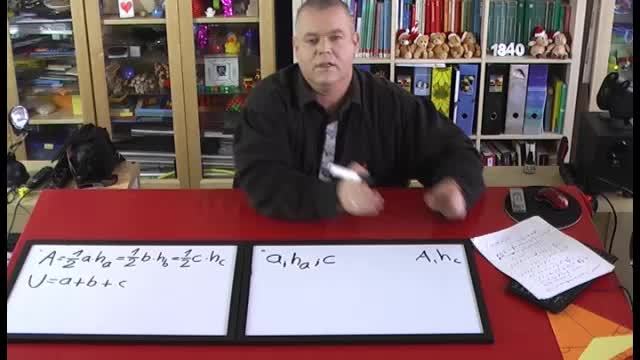 video image