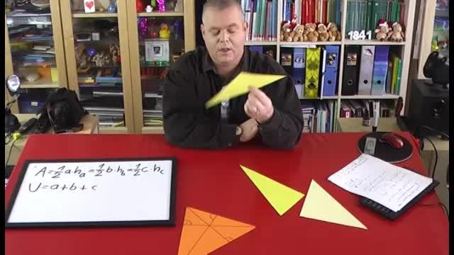 video image