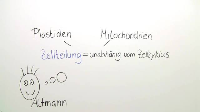 Endosymbiontentheorie – Entstehung der Chloroplasten und Mitochondrien