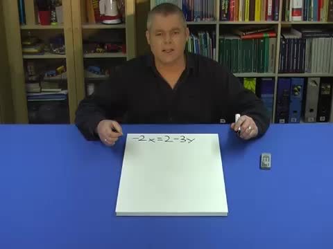 video image