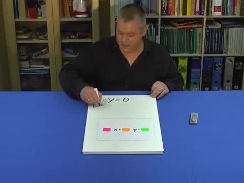video image