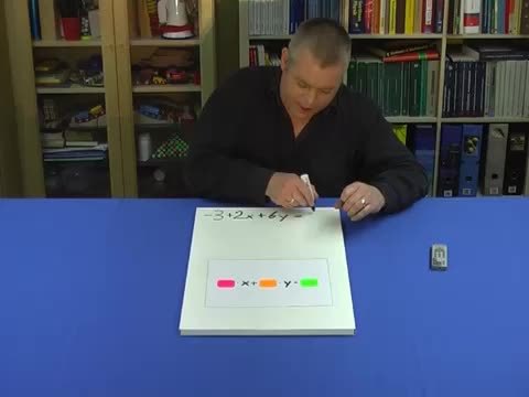 video image