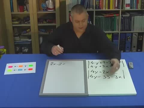video image
