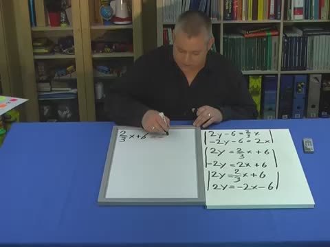 video image