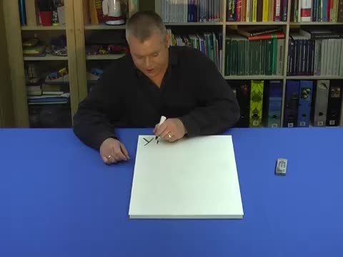 video image