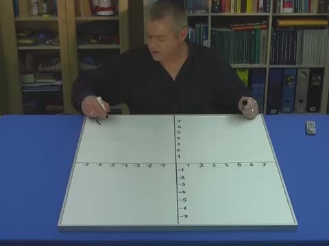 video image