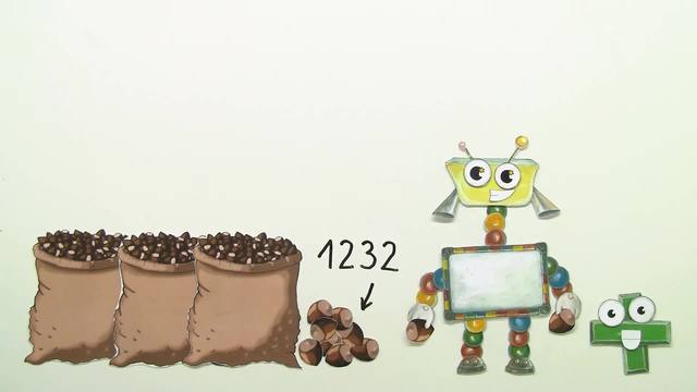 video image
