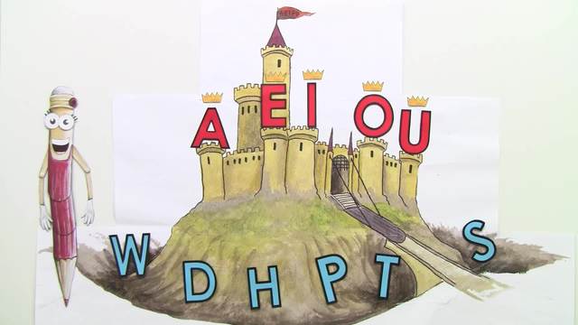 video image