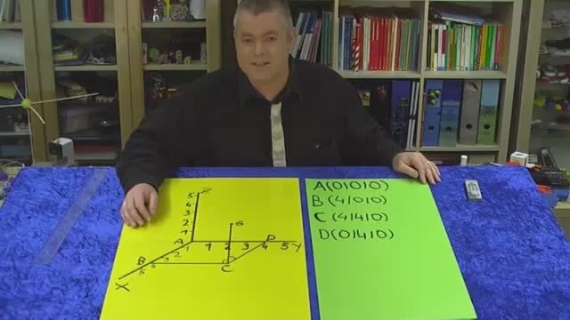 video image